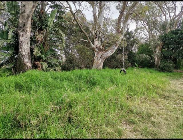 LAND FOR SALE IN WILLOW PARK